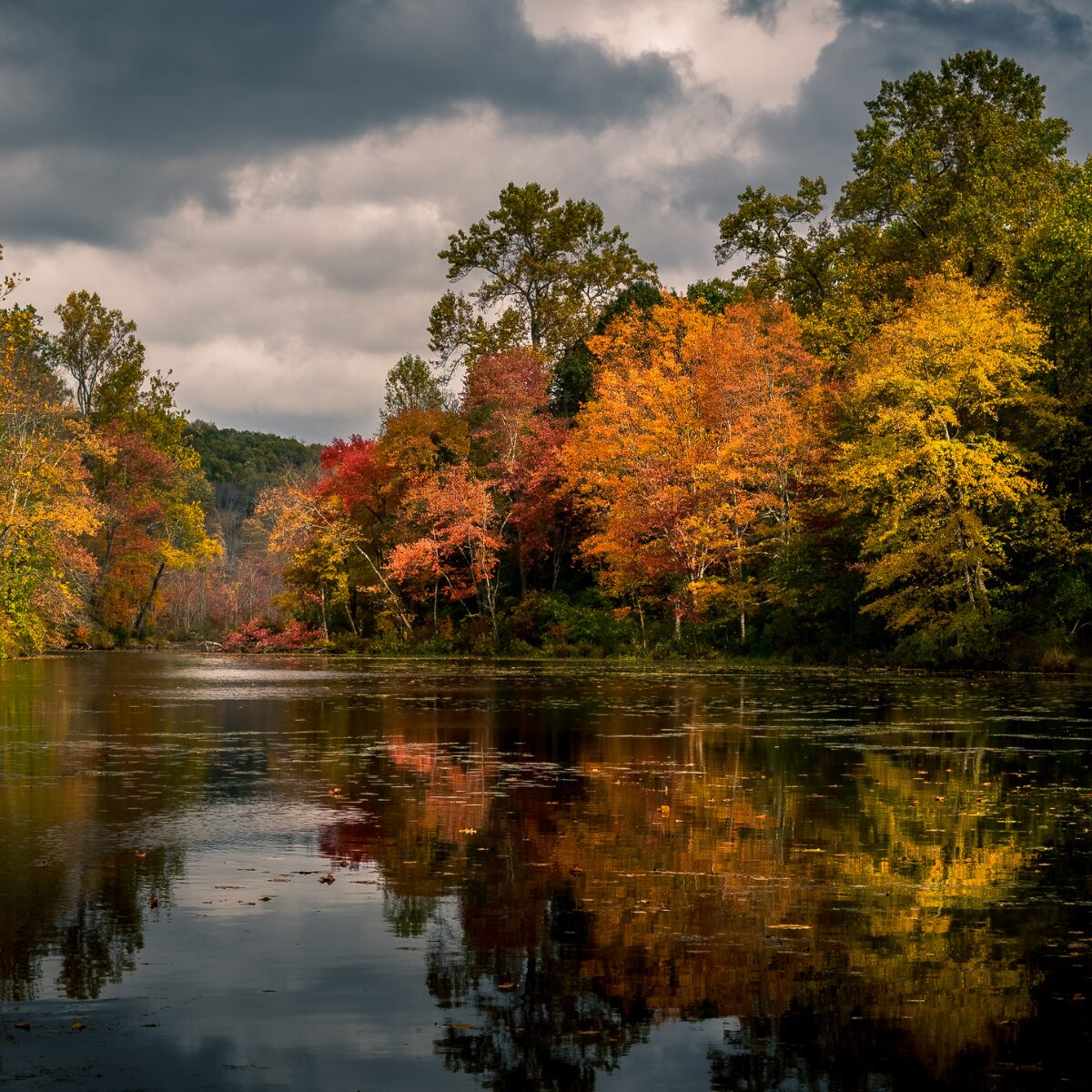 20 New Jersey State Parks to Visit for Engagement Photos or Proposal